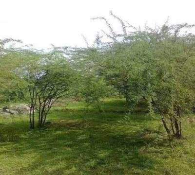  Agricultural Land 82000 Sq.ft. for Sale in mavoor Thiruvarur