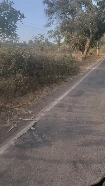  11 Acre Agricultural/Farm Land for Sale in Kittur, Belgaum