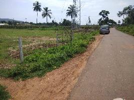  Commercial Land for Sale in Ranastalam, Srikakulam