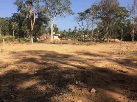  Commercial Land for Sale in Kadaba, Mangalore