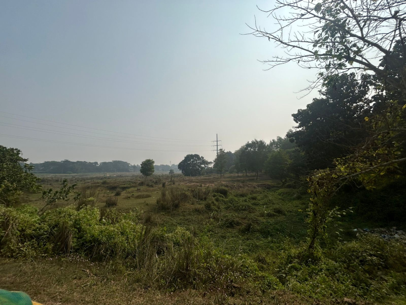  2 Acre Agricultural/Farm Land for Rent in Balianta, Bhubaneswar