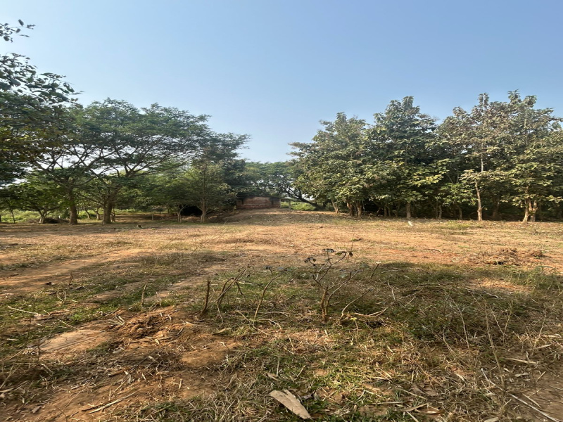  88000 Sq.ft. Commercial Land for Rent in Balianta, Bhubaneswar