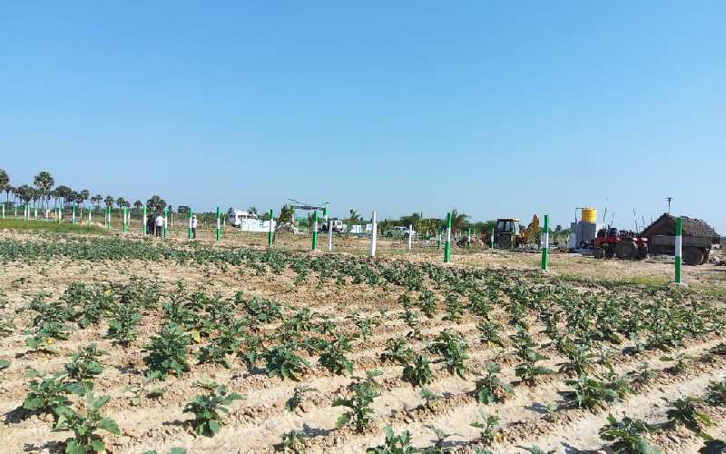  Agricultural Land 10000 Sq.ft. for Sale in Madurantakam, Chennai