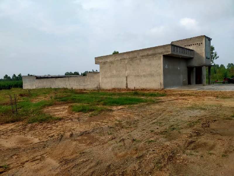  Agricultural Land 83 Bigha for Sale in Joya, Amroha