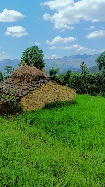 1 RK House 200 Sq. Meter for Sale in Mukteshwar, Nainital