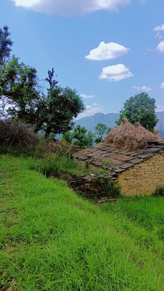 1 RK House 200 Sq. Meter for Sale in Mukteshwar, Nainital