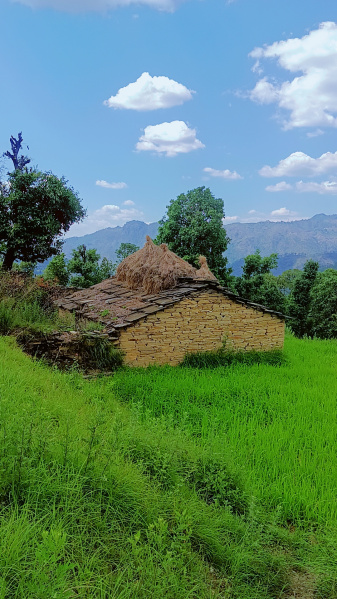 1 RK House 200 Sq. Meter for Sale in Mukteshwar, Nainital