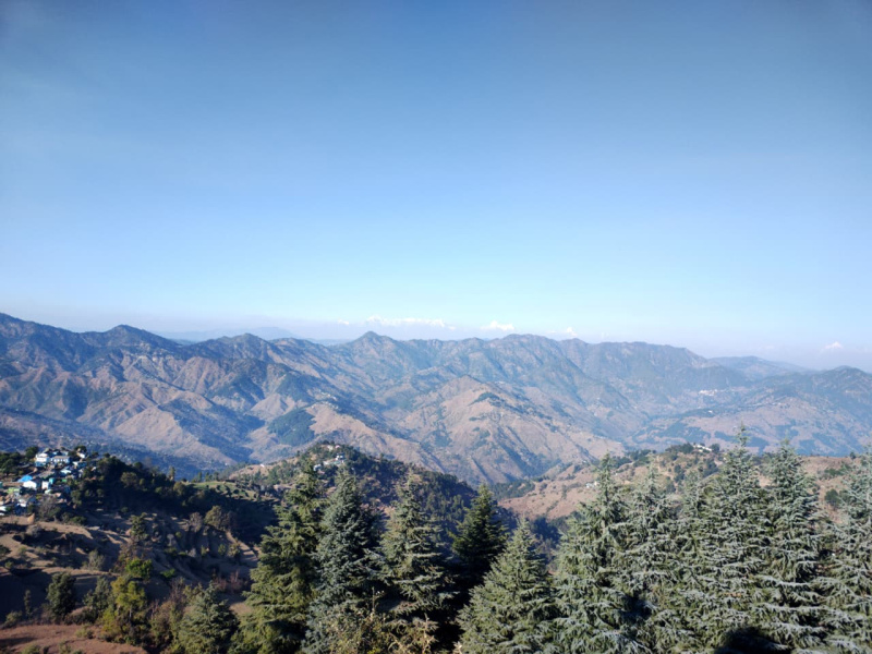  250 Sq. Meter Residential Plot for Sale in Lamgara, Almora