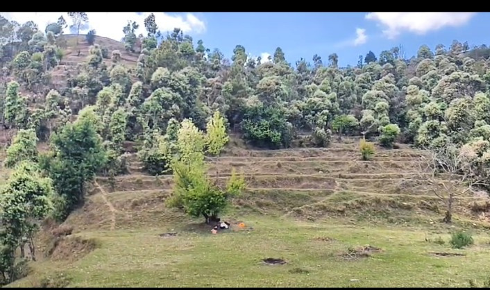  40468 Sq.ft. Commercial Land for Sale in Mall Road, Almora