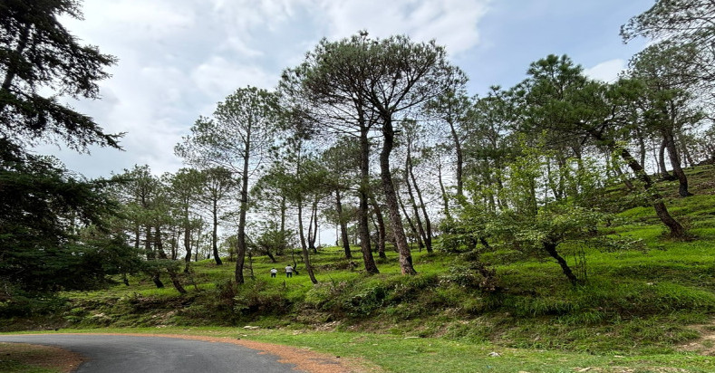  2000 Sq. Meter Residential Plot for Sale in Mukteshwar, Nainital