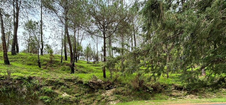  2000 Sq. Meter Residential Plot for Sale in Mukteshwar, Nainital