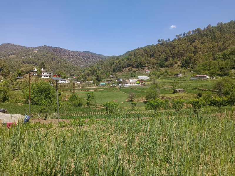  900 Sq. Meter Residential Plot for Sale in Mukteshwar, Nainital