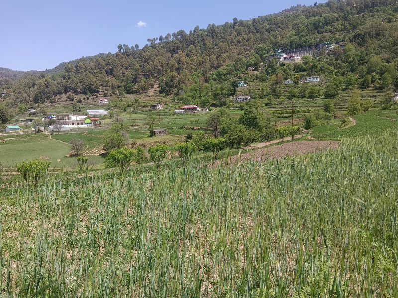  900 Sq. Meter Residential Plot for Sale in Mukteshwar, Nainital