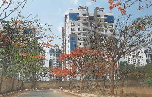 1 BHK Flat for Rent in Rayasandra, Bangalore
