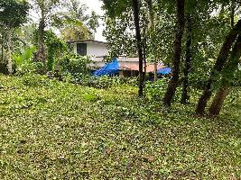  Residential Plot for Sale in Padiyottuchal, Kannur