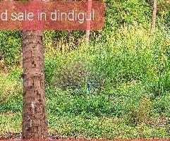 1 RK Flat for Sale in Chettinayakampatti, Dindigul