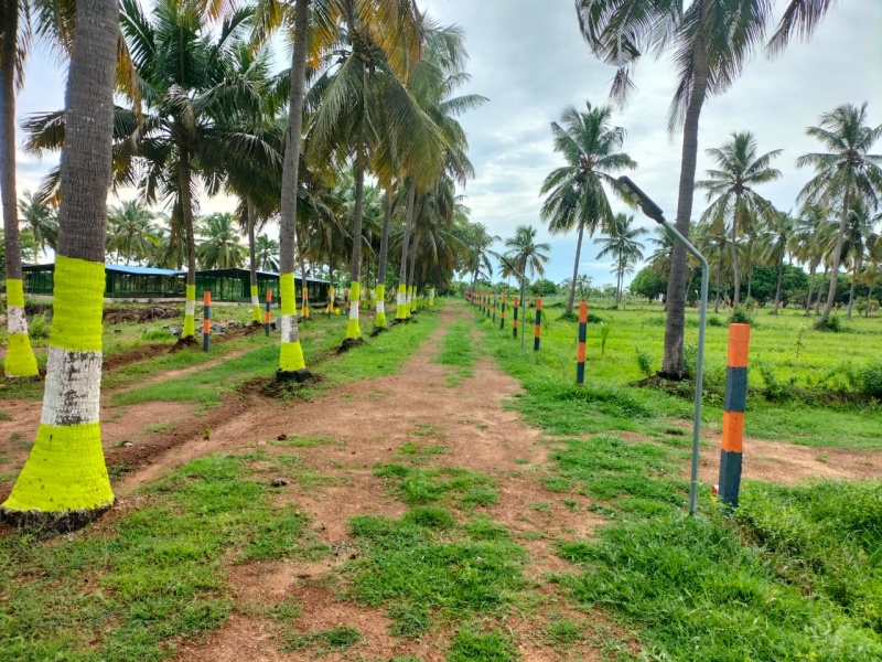 Farm Land for Sale in Madurantakam, Chennai (REI1159919)