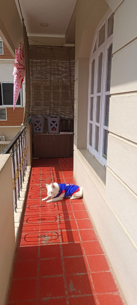 3 BHK 1000 Sq.ft. Builder Floor for Rent in 5th Block HBR Layout, Bangalore