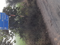 Commercial Land for Sale in Farrukhnagar, Gurgaon