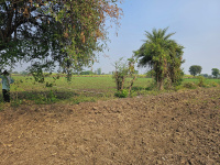  Residential Plot for Sale in Sanjay Gandhi Transport Nagar, Delhi