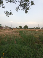  Agricultural Land for Sale in Bawal, Rewari