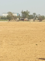  Agricultural Land for Sale in Bilaspur, Gurgaon