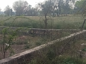  Agricultural Land for Sale in Bilaspur, Gurgaon