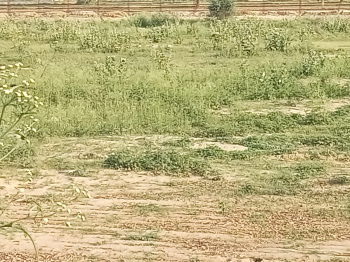 Agricultural Land for Sale in Sohna, Gurgaon