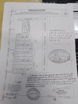  Residential Plot for Sale in Gandarvakottai, Pudukkottai