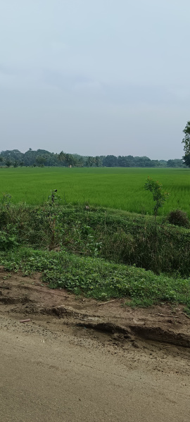 Agricultural Land 5 Acre for Sale in Thiruvidaimarudur, Thanjavur