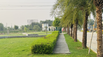  Residential Plot for Sale in New Jail Road, Lucknow