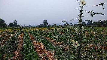 Agricultural Land for Sale in Kannad, Aurangabad