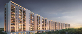  Residential Plot for Sale in Kachna, Raipur