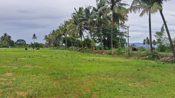  Agricultural Land for Sale in Andipatti Jakkampatti, Theni