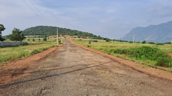  Agricultural Land for Sale in Ammainaickanur, Dindigul