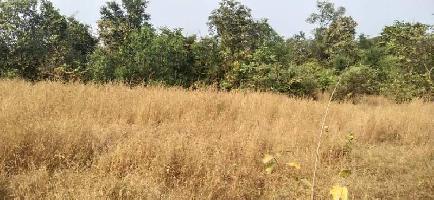  Agricultural Land for Sale in Murud, Raigad