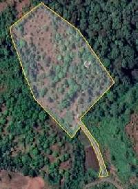  Agricultural Land for Sale in Roha, Raigad
