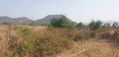  Agricultural Land for Sale in Mumbai Goa Highway