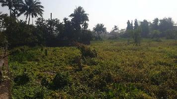  Agricultural Land for Sale in Roha, Raigad