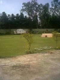 3 BHK Farm House for Rent in DLF Chattarpur Farms