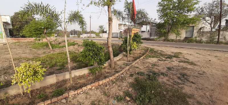  Residential Plot 1000 Sq.ft. for Sale in Mohan Road, Lucknow