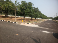  Residential Plot for Sale in Achutapuram, Visakhapatnam