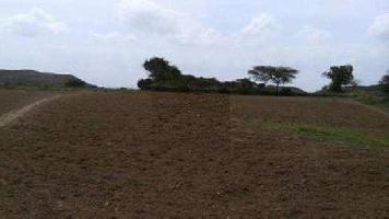  Agricultural Land for Sale in Hansari, Jhansi