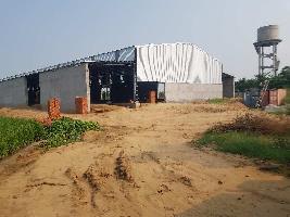  Warehouse for Rent in Focal Point, Ludhiana