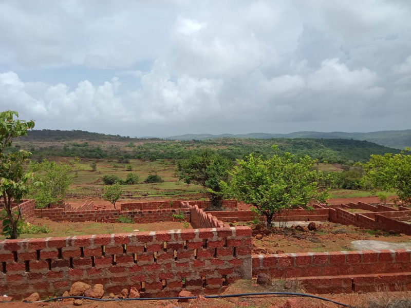  Residential Plot 2500 Sq.ft. for Sale in Dapoli Camp, Ratnagiri