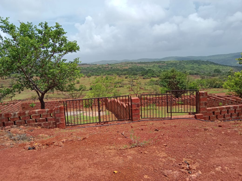  Residential Plot 2500 Sq.ft. for Sale in Dapoli Camp, Ratnagiri