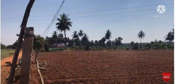 Agricultural Land 2 Ares for Sale in Chintamani Road, Bangalore