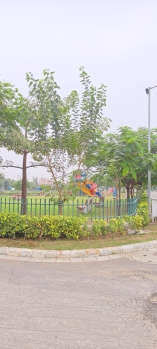  Residential Plot for Sale in Sector 7, Dharuhera