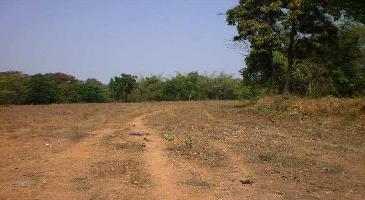  Agricultural Land for Sale in South Goa