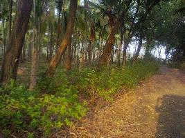  Agricultural Land for Sale in Chandor, Goa